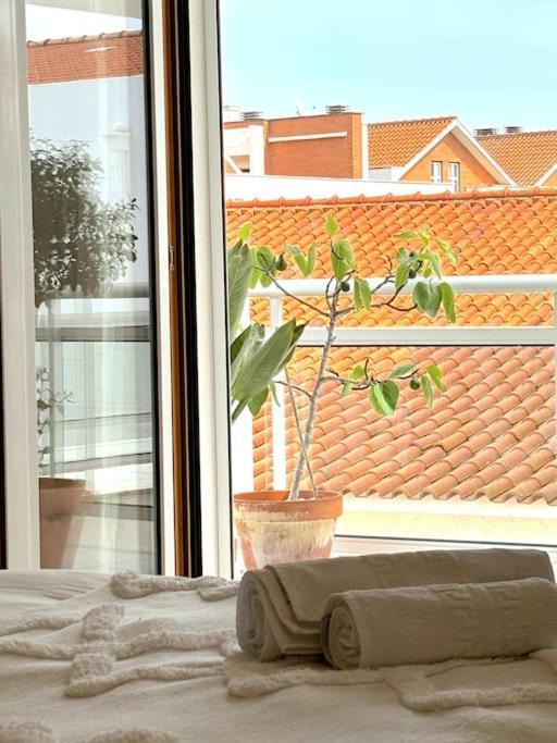 Nazare Boutique W Sea View And Private Rooftop Terace Eksteriør bilde