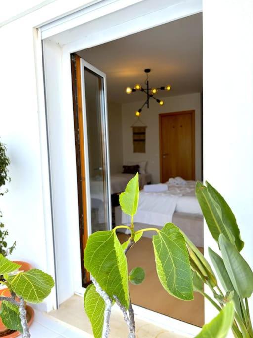 Nazare Boutique W Sea View And Private Rooftop Terace Eksteriør bilde